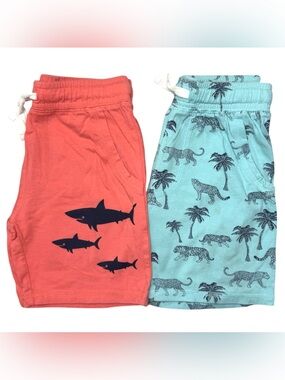 H&M Cotton Shorts 2 Pcs Bundle Blue Coral 4-5